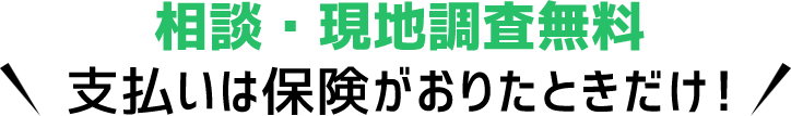 相談・現地調査無料 支払いは保険がおりたときだけ!